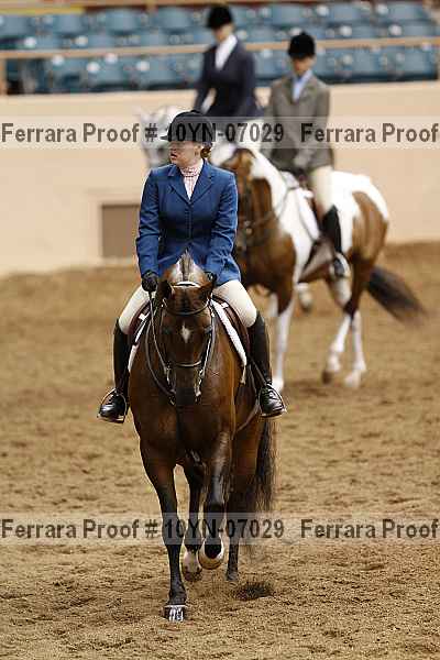 Proof 10yn-07029