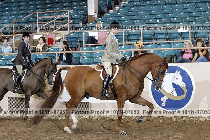Proof 10yn-07053