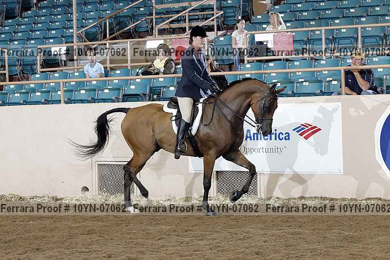 Proof 10yn-07062