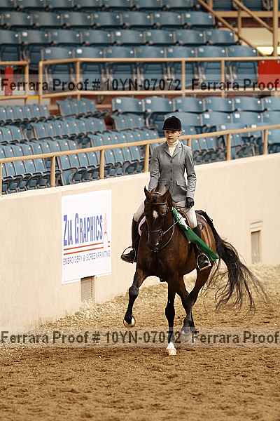 Proof 10yn-07072