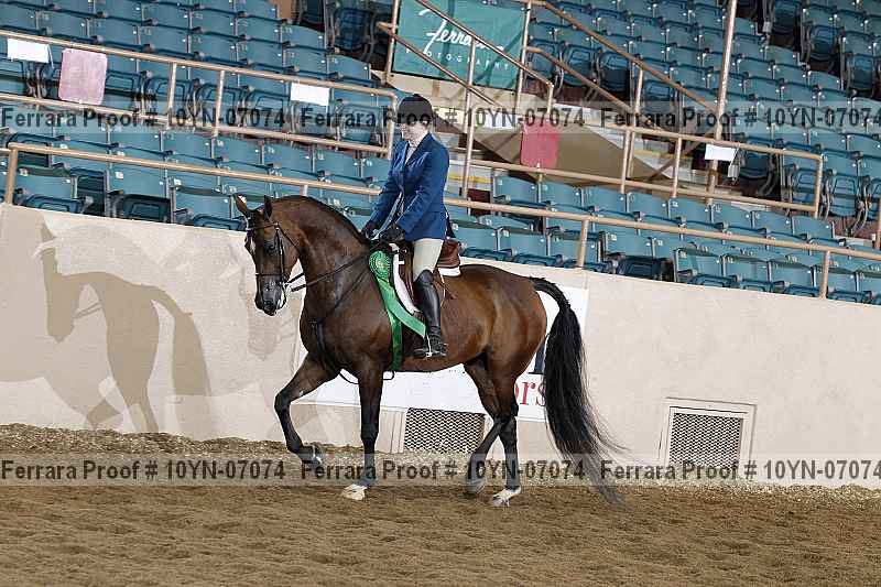 Proof 10yn-07074