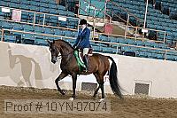 10yn-07074 proof