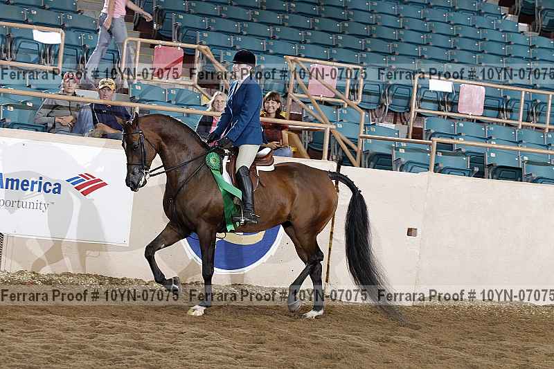 Proof 10yn-07075