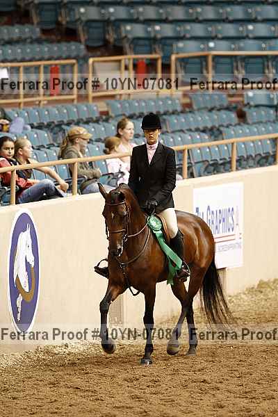Proof 10yn-07081