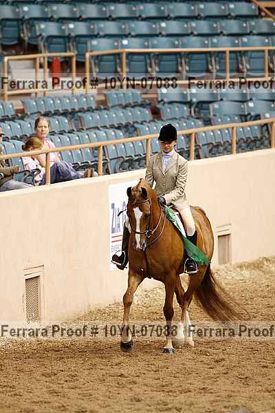 Proof 10yn-07088