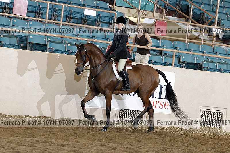 Proof 10yn-07097