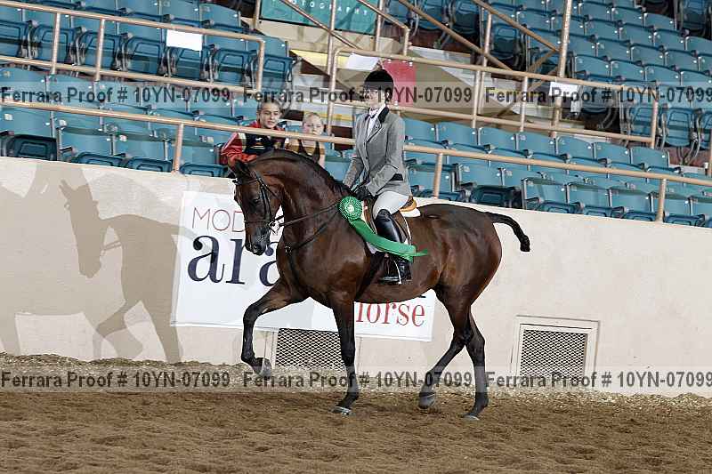 Proof 10yn-07099