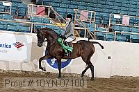 10yn-07100 proof