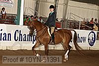 10yn-21391 proof