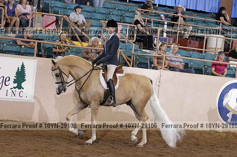 Proof 10yn-29105