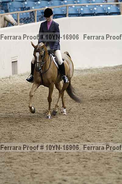 Proof 10yn-16906