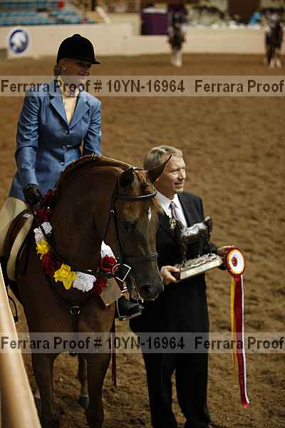 Proof 10yn-16964