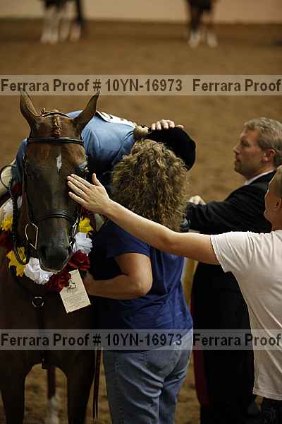 Proof 10yn-16973