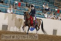 10yn-17029 proof