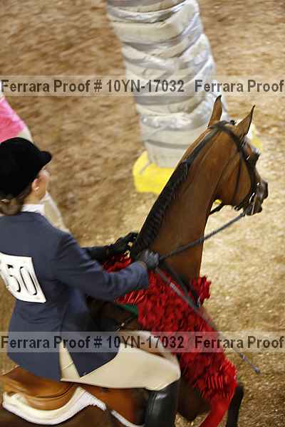 Proof 10yn-17032