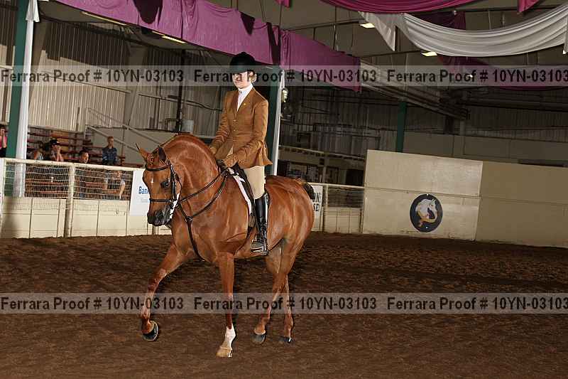 Proof 10yn-03103