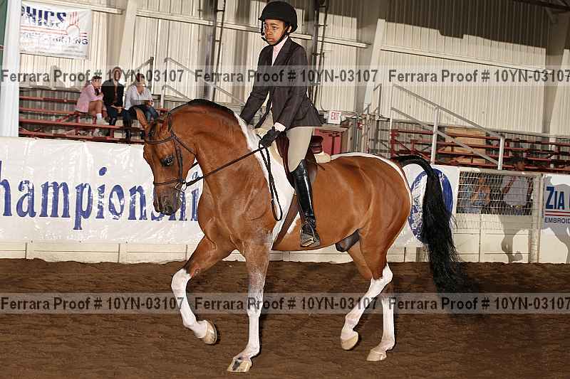 Proof 10yn-03107