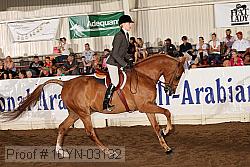 10yn-03132 proof