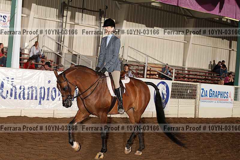Proof 10yn-03166