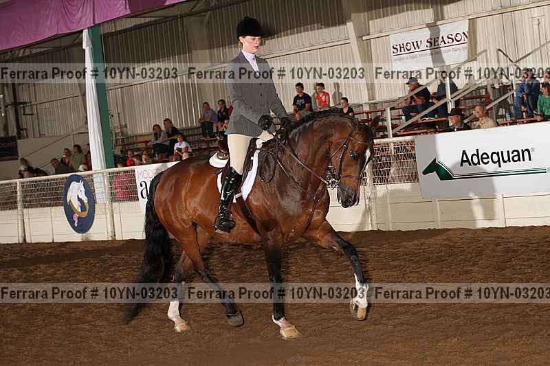 Proof 10yn-03203
