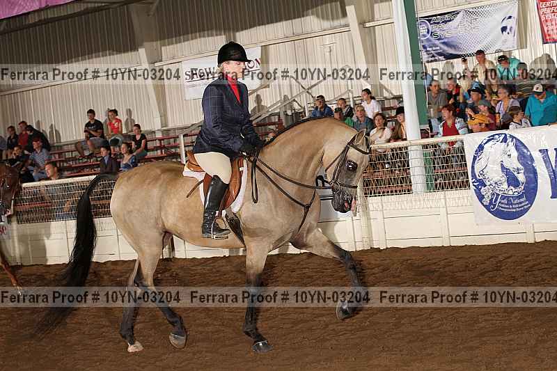 Proof 10yn-03204