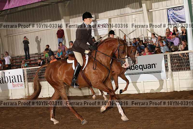 Proof 10yn-03316