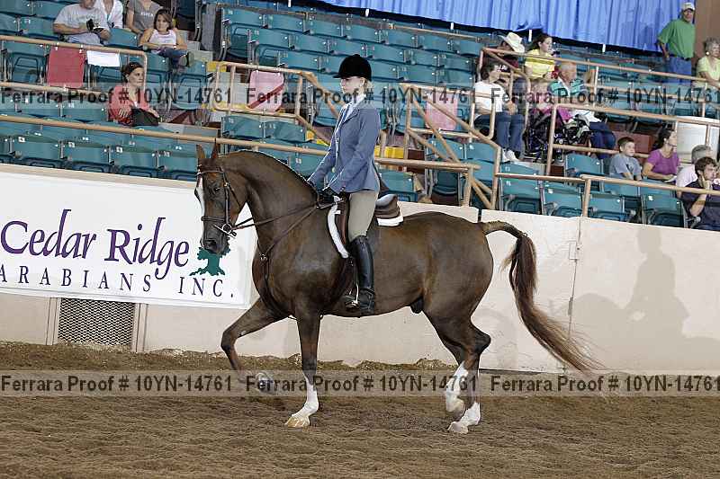 Proof 10yn-14761