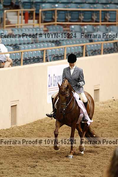 Proof 10yn-15224