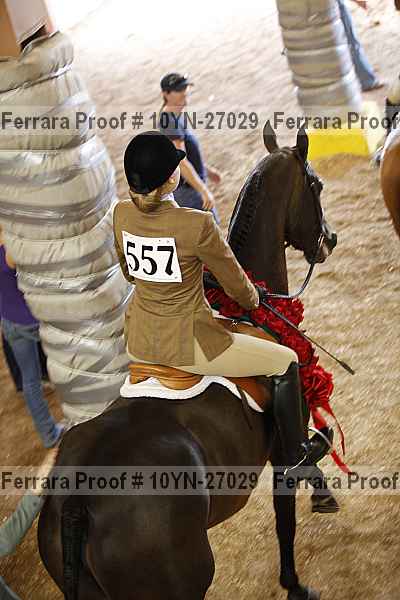 Proof 10yn-27029