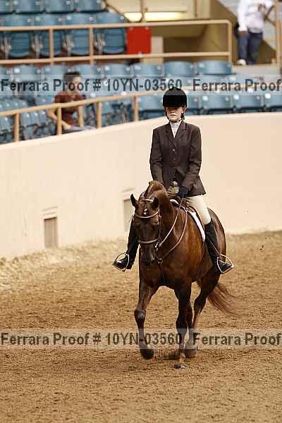 Proof 10yn-03560