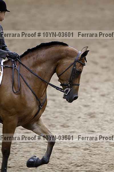 Proof 10yn-03601