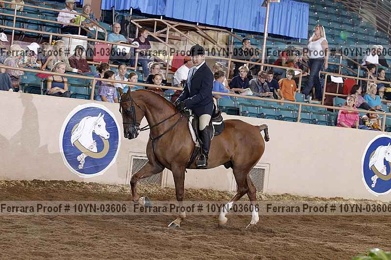 Proof 10yn-03606