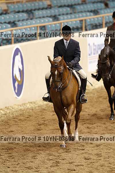 Proof 10yn-03608