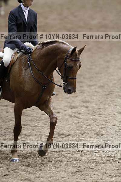 Proof 10yn-03634