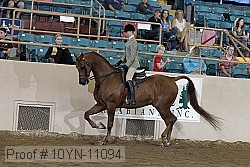 10yn-11094 proof