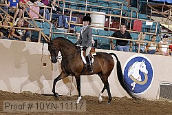 10yn-11117 proof