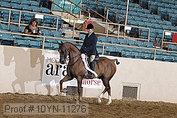 10yn-11276 proof