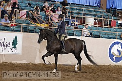 10yn-11282 proof