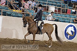 10yn-11290 proof