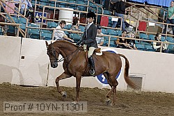 10yn-11301 proof