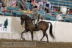 10yn-11308 proof