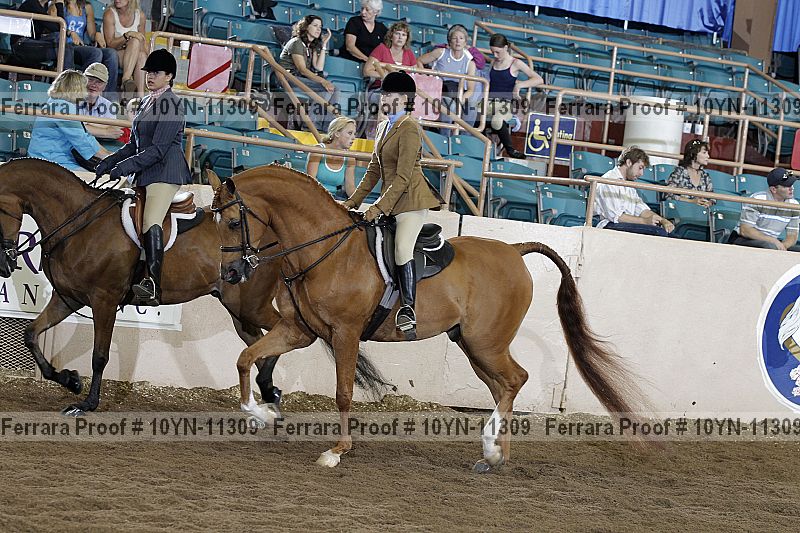Proof 10yn-11309