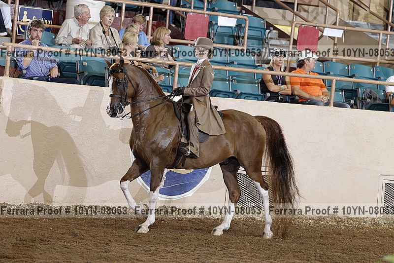 Proof 10yn-08053