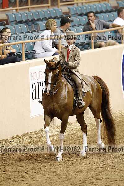 Proof 10yn-08062