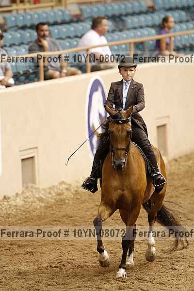 Proof 10yn-08072