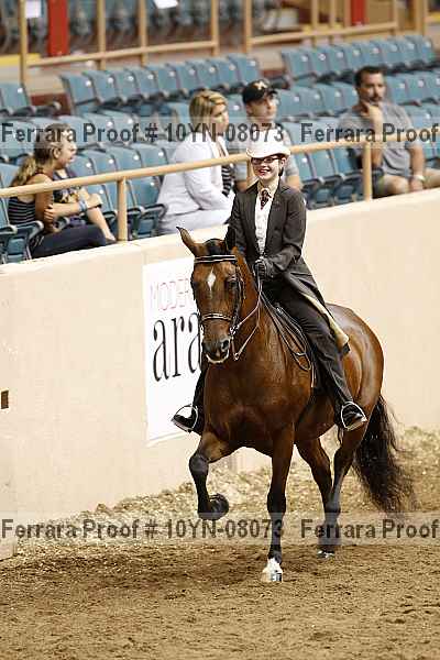 Proof 10yn-08073