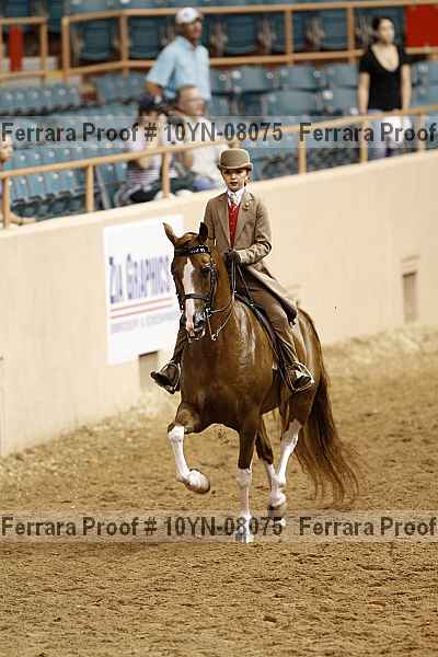 Proof 10yn-08075