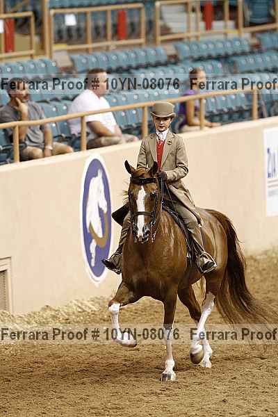 Proof 10yn-08076
