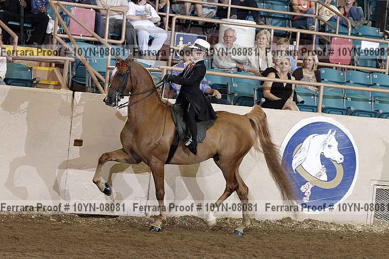 Proof 10yn-08081
