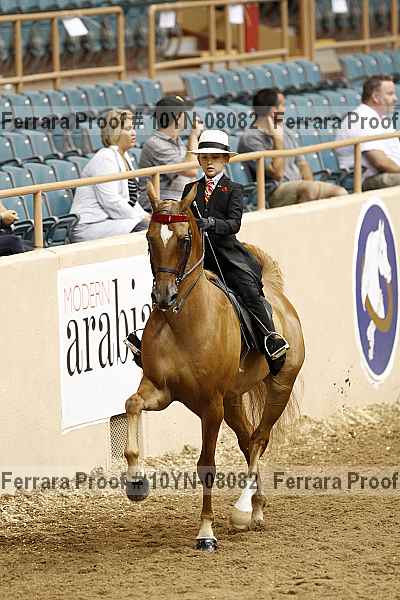 Proof 10yn-08082
